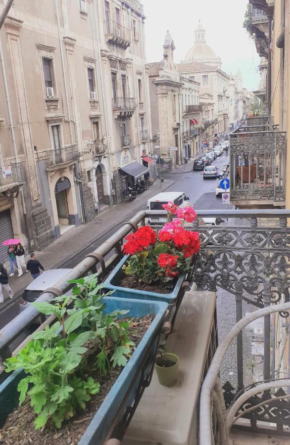 Bed&Books Isabella Bed and Breakfast Catania Esterno foto
